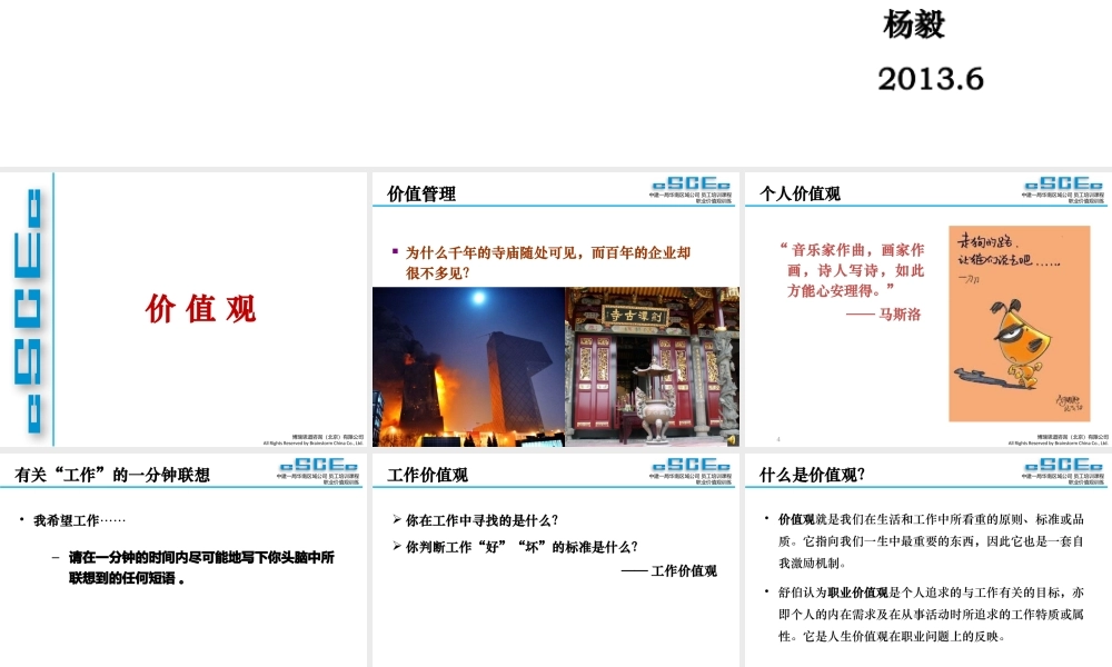 专业讲师-职业价值观训练