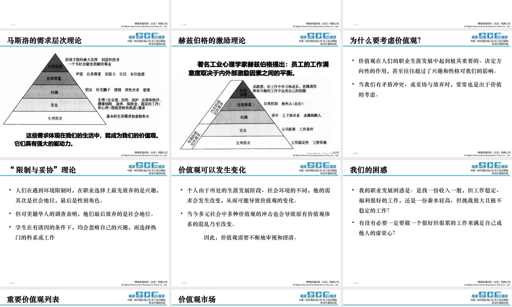 专业讲师-职业价值观训练