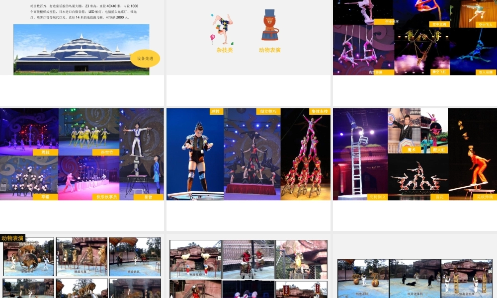 XXXX年新城吾悦广场马戏嘉年华活动策划方案(新)