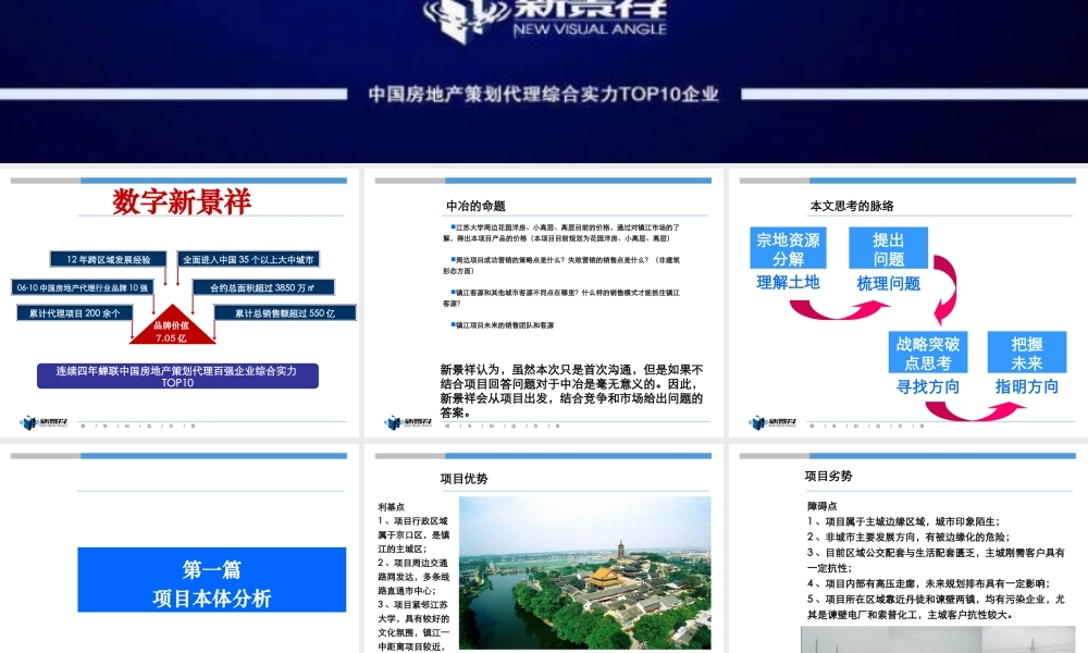 XXXX年新景祥镇江中冶蓝城项目发展思路沟通报告