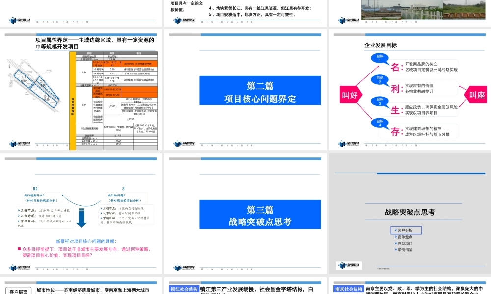 XXXX年新景祥镇江中冶蓝城项目发展思路沟通报告
