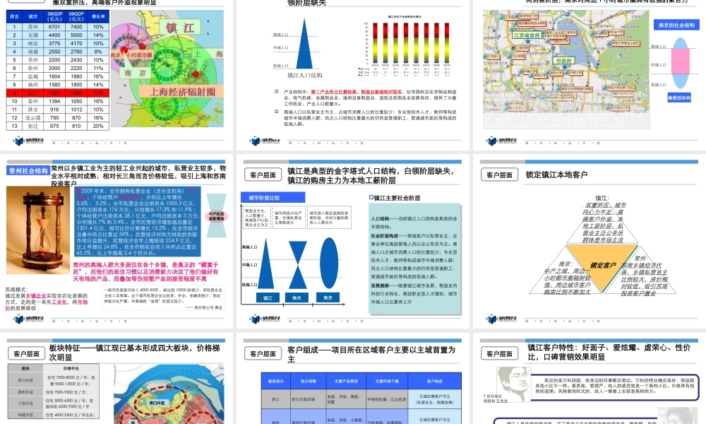 XXXX年新景祥镇江中冶蓝城项目发展思路沟通报告