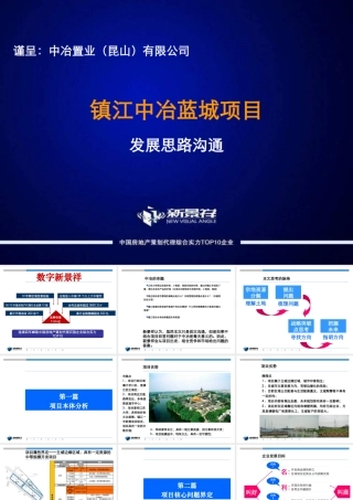 XXXX年新景祥镇江中冶蓝城项目发展思路沟通报告