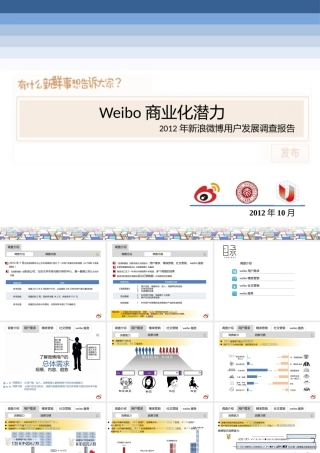 XXXX年新浪微博用户发展的报告-北大新浪