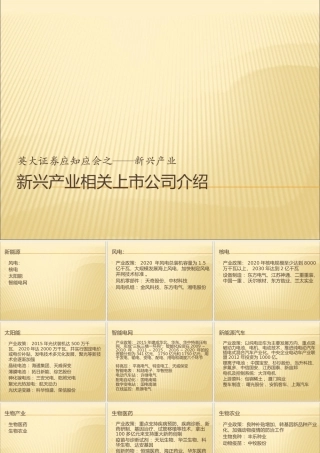 XXXX年新兴产业上市公司