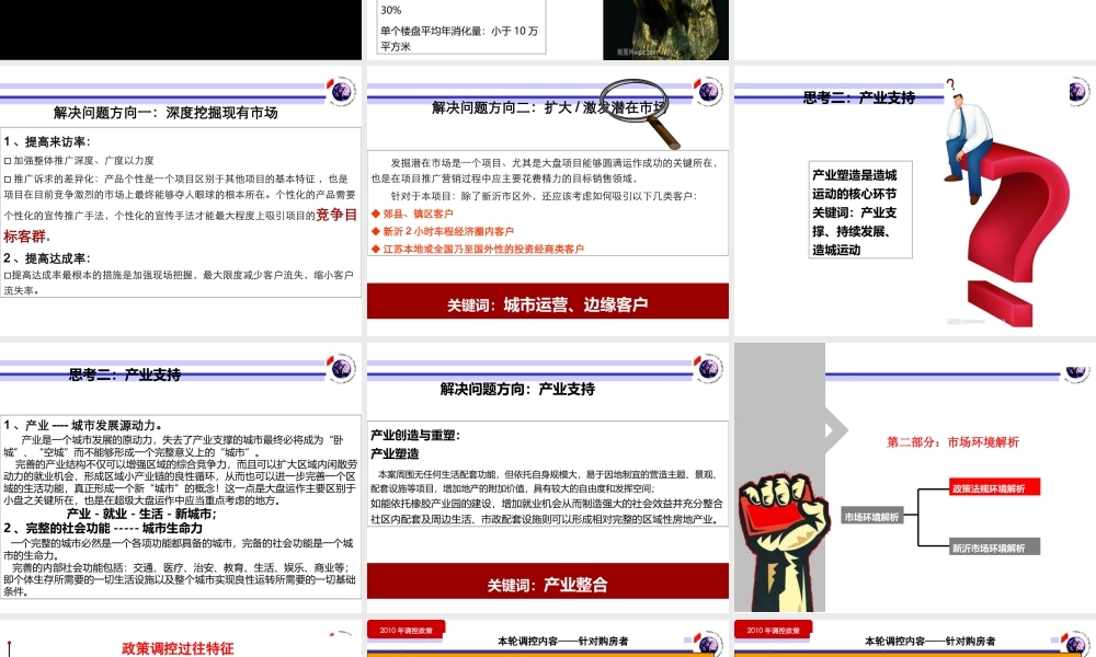 XXXX年新沂项目前期策划总体思路
