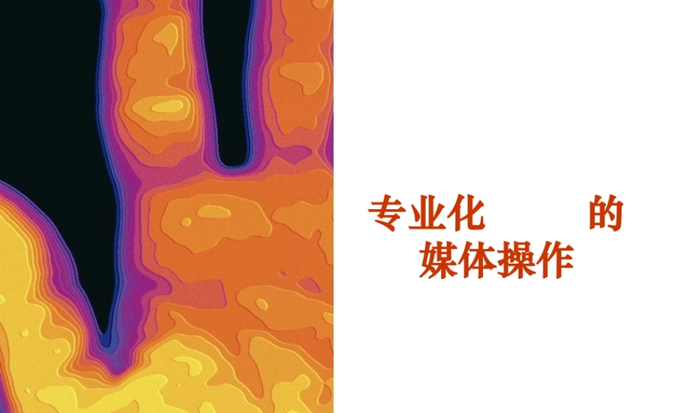 专业媒体企划全案（PPT55页)