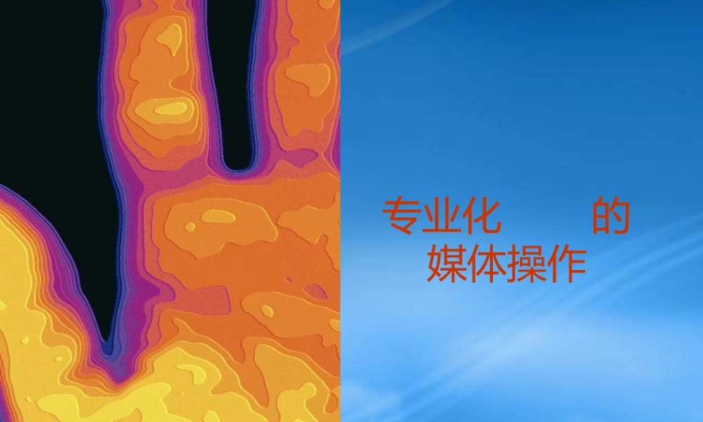 专业媒体企划全案