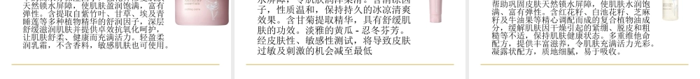 XXXX年雅姿产品__全面解析