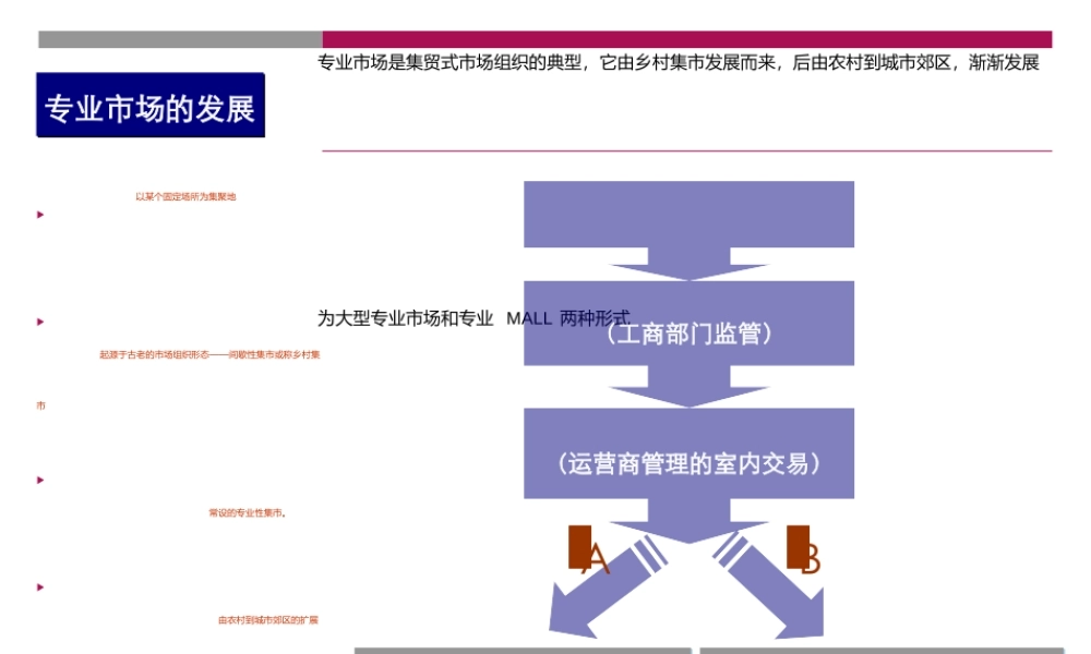 专业市场成功运作案例(PPT 31页)