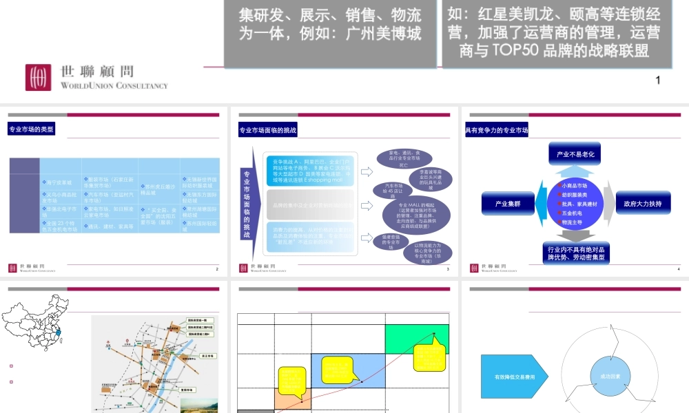 专业市场成功运作案例(PPT 31页)