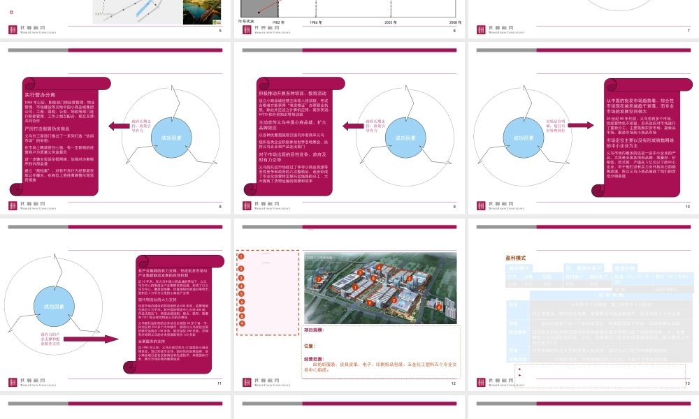 专业市场成功运作案例(PPT 31页)