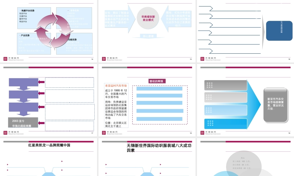 专业市场成功运作案例(PPT 31页)