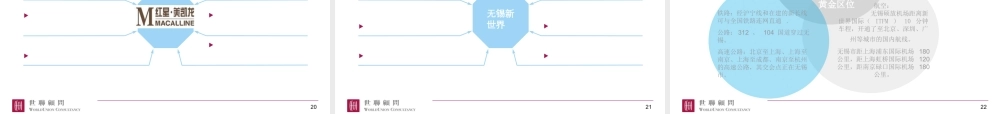 专业市场成功运作案例(PPT 31页)