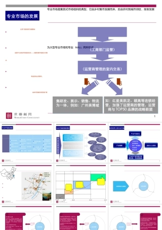专业市场成功运作案例(PPT 31页)