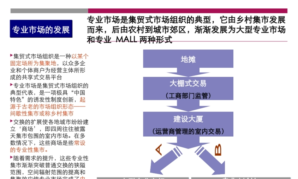 专业市场成功运作案例