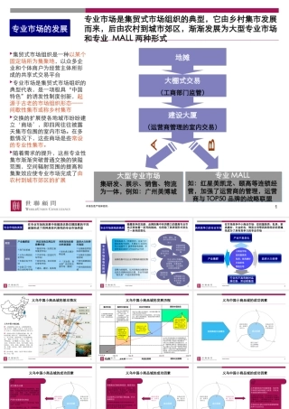 专业市场成功运作案例