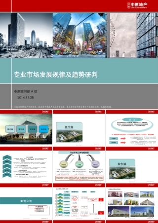 专业市场发展规律及趋势研究