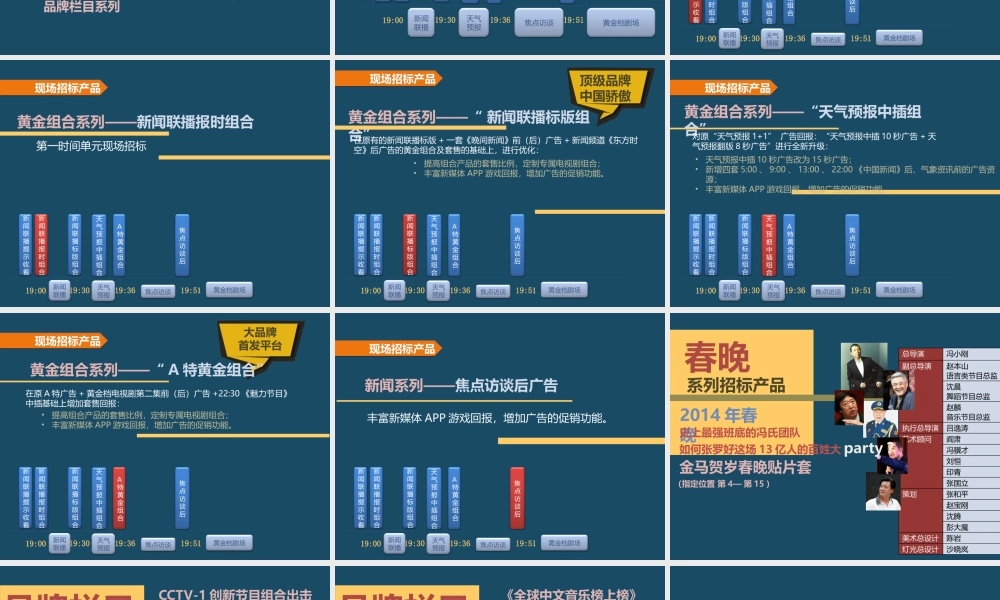 XXXX年央视广告招标预售