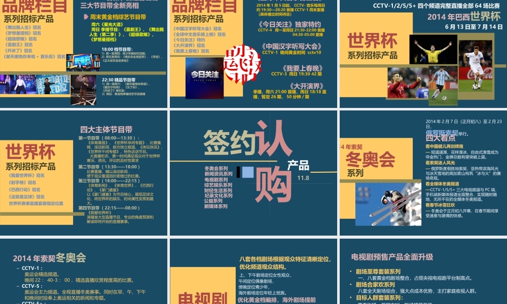 XXXX年央视广告招标预售