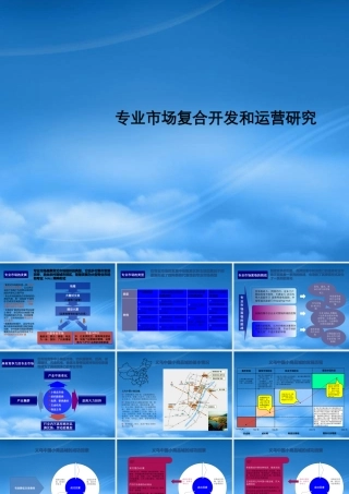 专业市场复合开发和运营