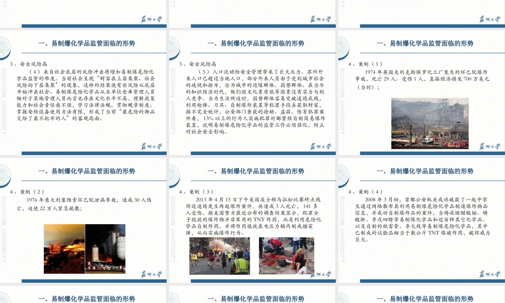 XXXX年易制爆单位安全培训易制爆安全监管与公共治理