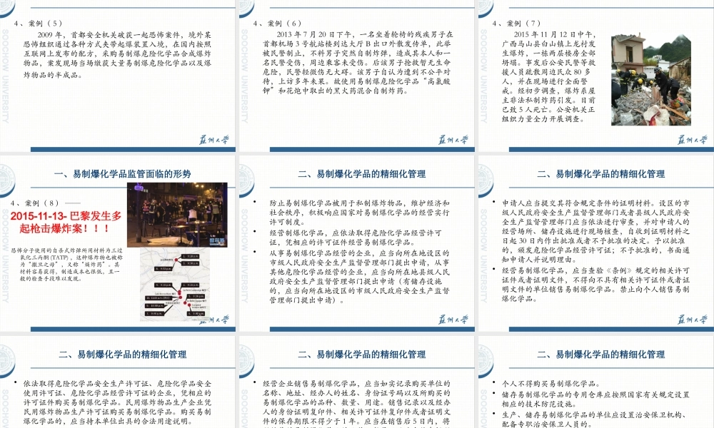 XXXX年易制爆单位安全培训易制爆安全监管与公共治理