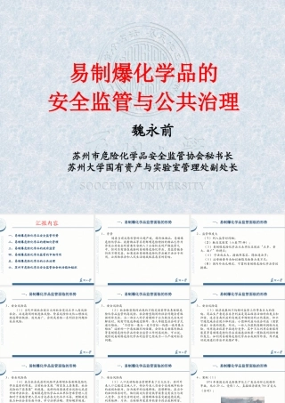 XXXX年易制爆单位安全培训易制爆安全监管与公共治理