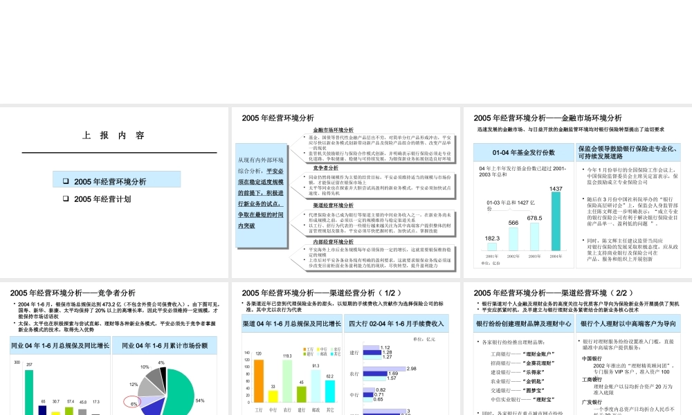XXXX年银保整体经营计划(正式版)