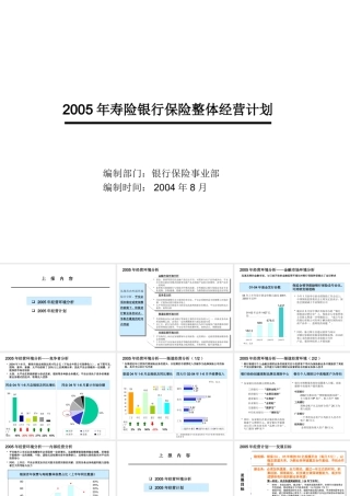 XXXX年银保整体经营计划(正式版)