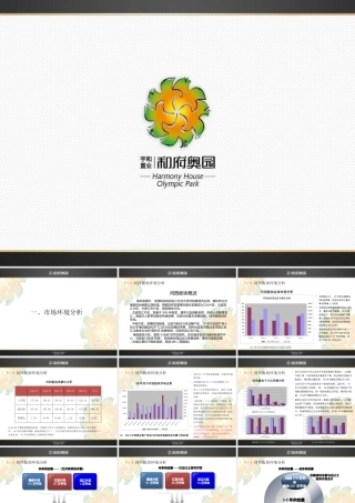 XXXX年宇和置业南京和府奥园项目提报方案