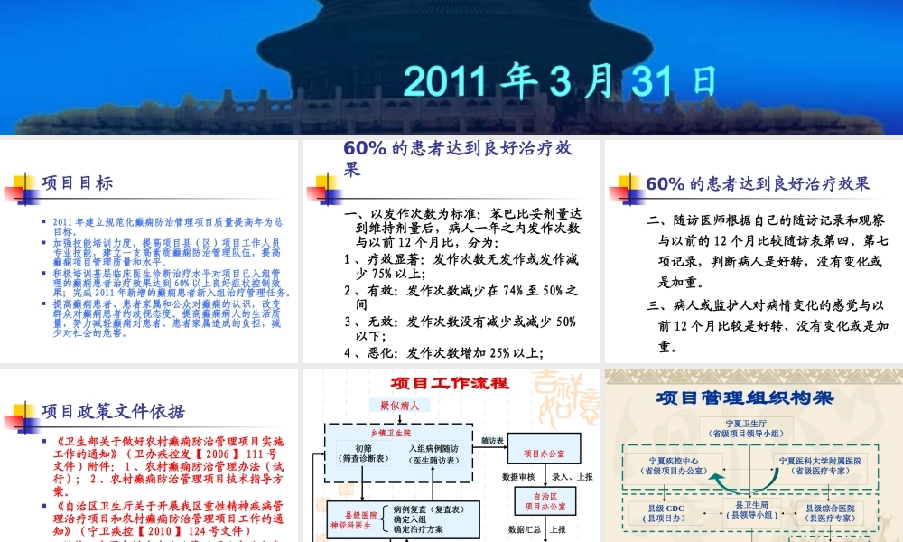 XXXX年原州区癫痫项目方案讲课稿