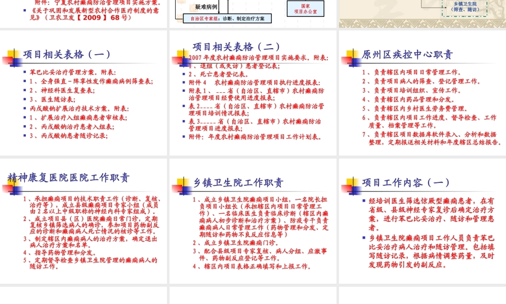 XXXX年原州区癫痫项目方案讲课稿