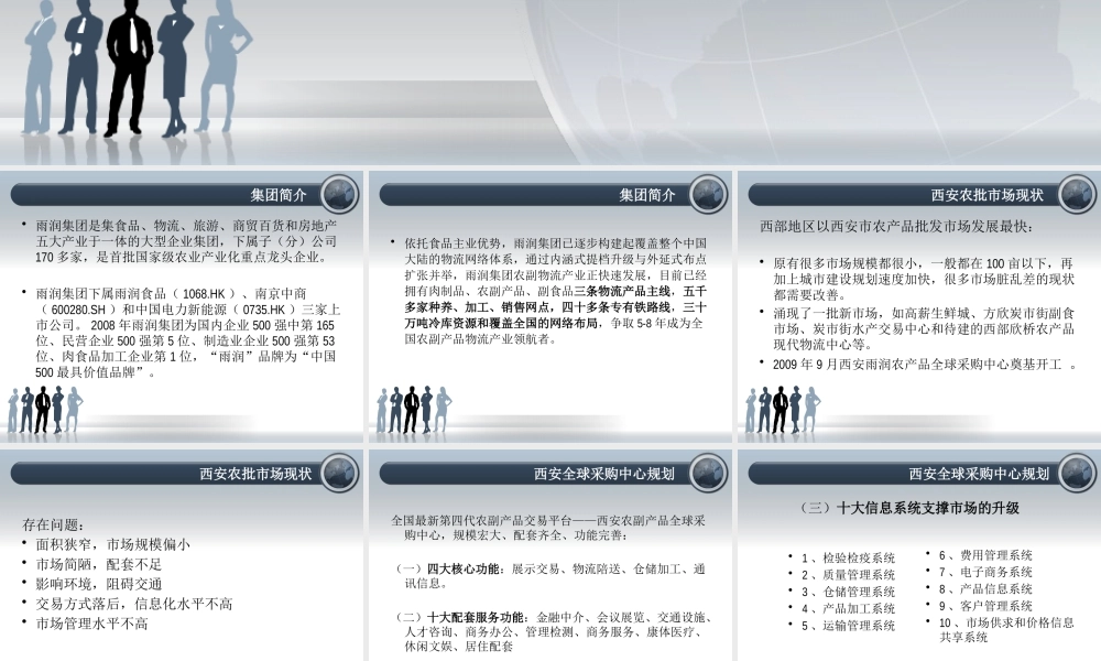 XXXX年雨润西安农副产品全球采购中心招商规划