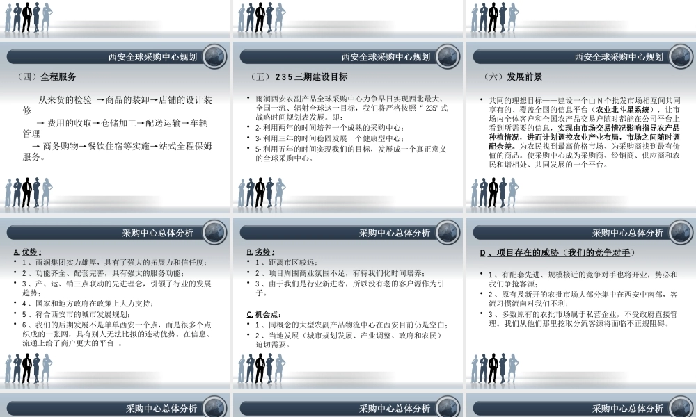 XXXX年雨润西安农副产品全球采购中心招商规划