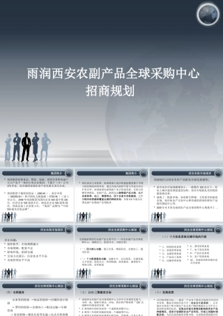 XXXX年雨润西安农副产品全球采购中心招商规划