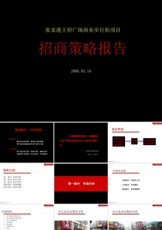XXXX年张家港王府广场商业步行街项目招商方案1644458332