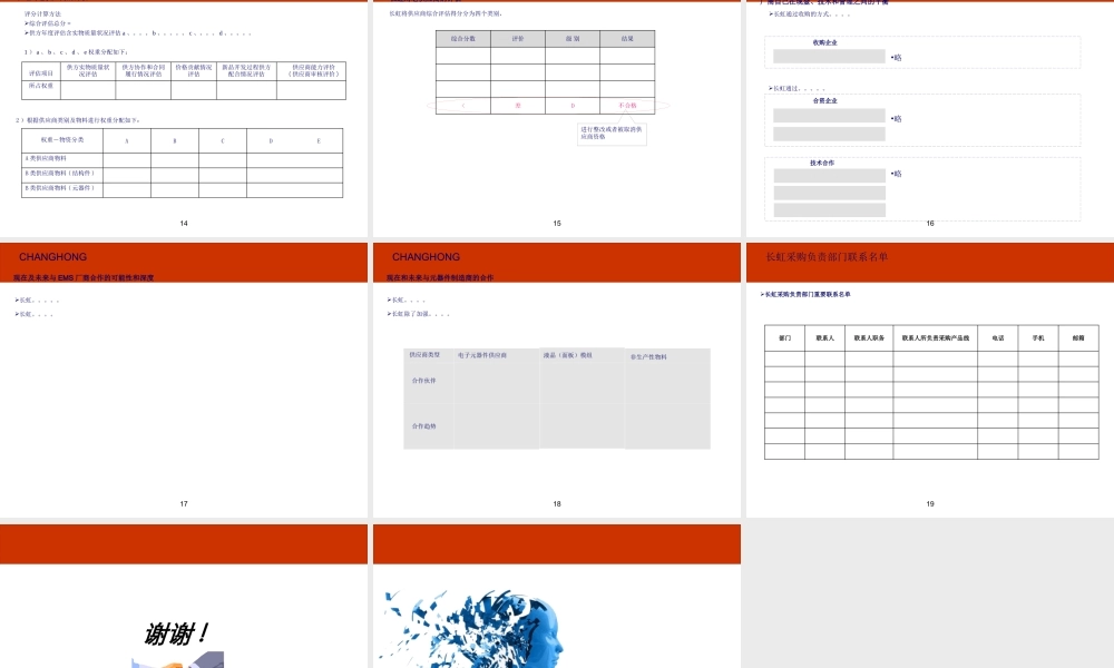 XXXX年长虹供应商选择体系报告(全)
