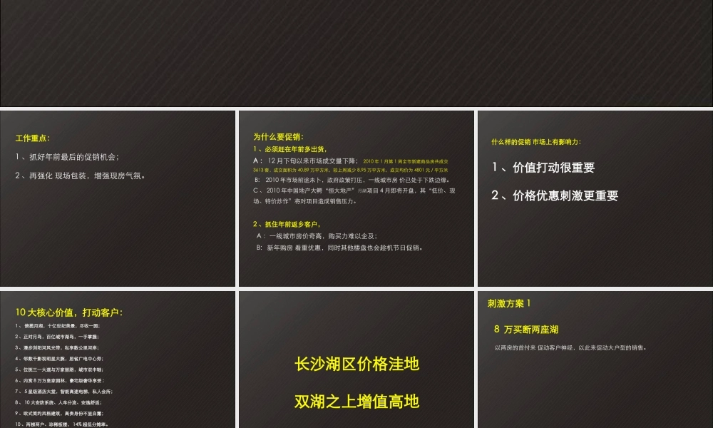 XXXX年长沙财富名园年前强销推广策略