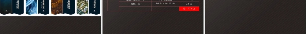 XXXX年长沙财富名园年前强销推广策略