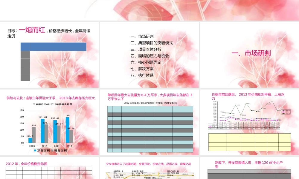 XXXX年长沙市宁乡县冠源·爱琴湾二期推盘策略