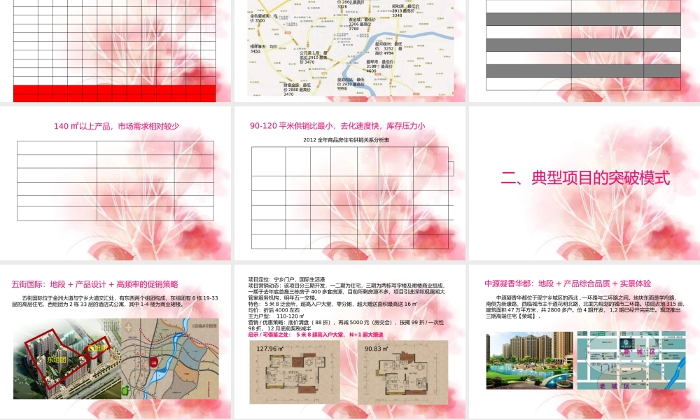 XXXX年长沙市宁乡县冠源·爱琴湾二期推盘策略