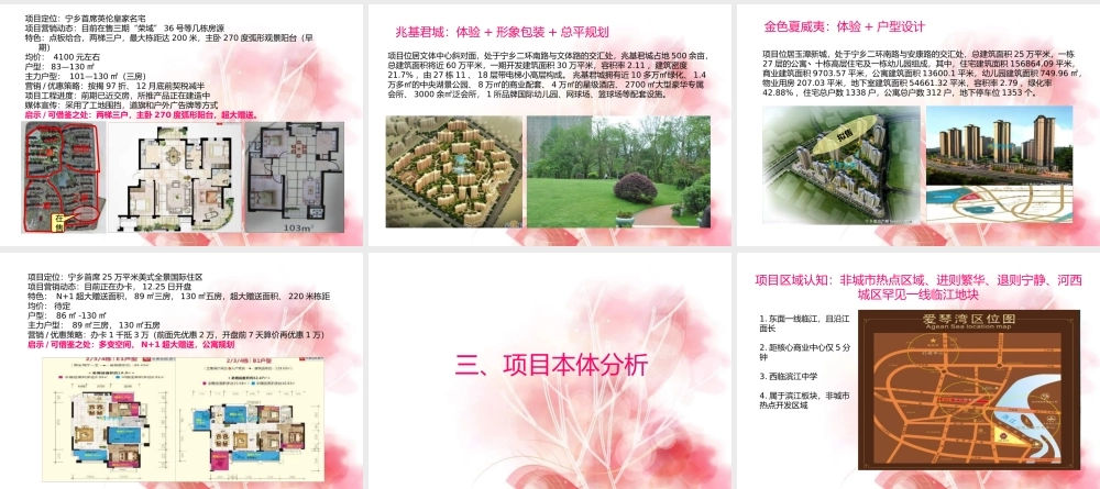 XXXX年长沙市宁乡县冠源·爱琴湾二期推盘策略