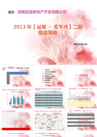 XXXX年长沙市宁乡县冠源·爱琴湾二期推盘策略