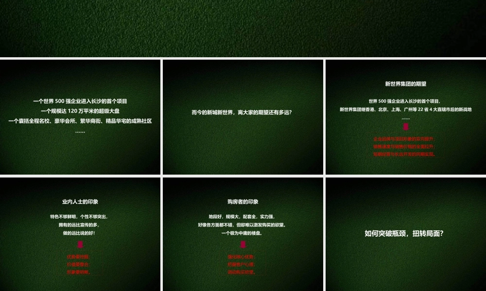 XXXX年长沙新城新世界整合推广策划案