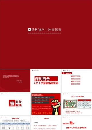 XXXX年郑州某地产百合XXXX年度营销报告