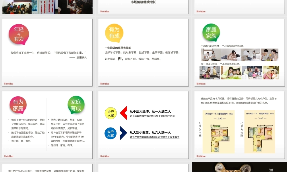 XXXX年郑州升龙城5月推广执行方案