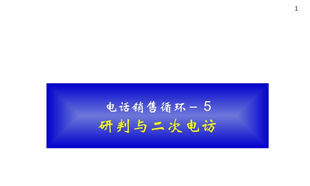 专业有效的电访销售流程