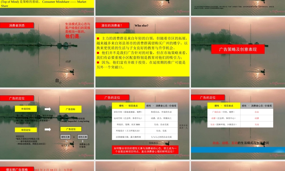 XXXX年智威汤逊品牌传播方案的思考-品牌dna剖析,拉阔生活分享