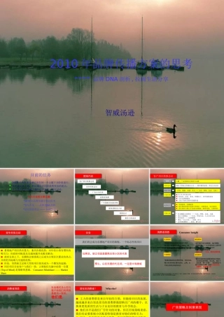 XXXX年智威汤逊品牌传播方案的思考-品牌dna剖析,拉阔生活分享